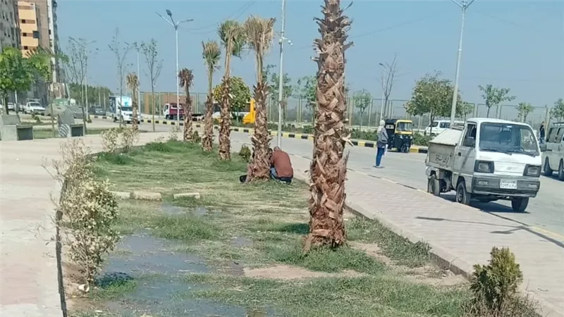 محافظ أسيوط: تطوير وتجميل أرصفة ميدان الوليدية الجديد والعناية بالأشجار والنخيل بحديقة صينية القناطر