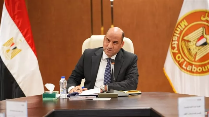 وزير العمل: 2.6 مليار جنيه إعانات طوارئ لـ441 ألف عامل 