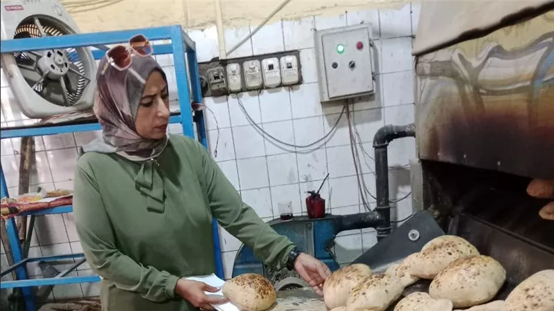 ضبط 125 مخالفة بالأسواق والمخابز في الإسماعيلية