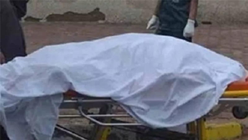  سيارة نقل تدهس مُسن أثناء عمله داخل مطحن في دسوق