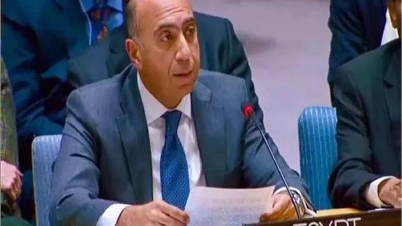 مندوب مصرأمام مجلس الأمن، السفيرإيهاب عوض 