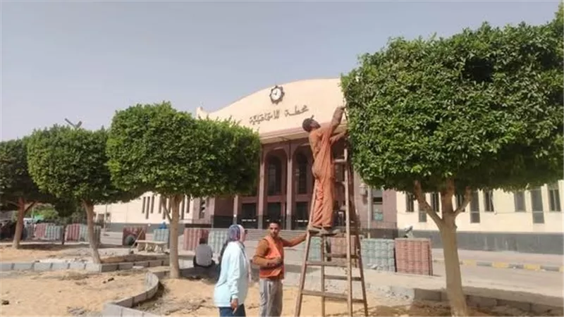 محافظة الإسماعيلية تنفي قطع أشجار بميدان عرابي