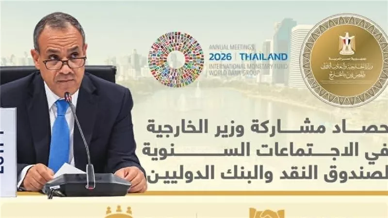  د. بدر عبد العاطي، وزير الخارجية