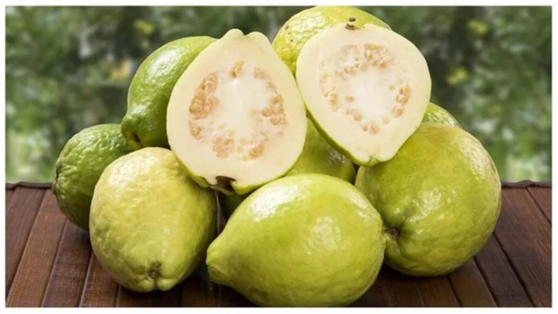 جوافة