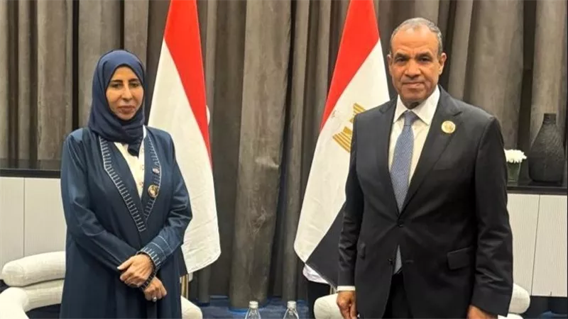 وزير الخارجية يبحث التعاون مع نظيرته اليمنية