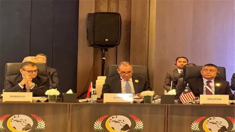 وزير الخارجية يلقي كلمة مصر في اجتماعات دورة مجلس وزراء خارجية منظمة التعاون الإسلامي