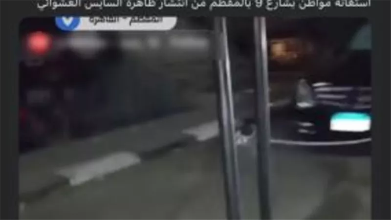 الداخلية تكشف حقيقة شكوى من انتظار عشوائي للسيارات بالمقطم