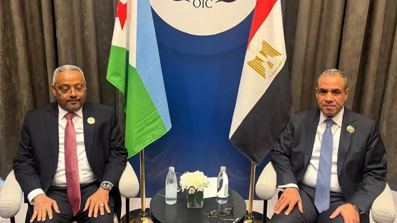  وزير الخارجية يلتقي نظيره الجيبوتي 