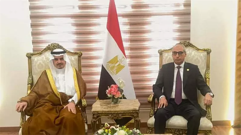 المستشار محمود إبراهيم أبو الدهب رئيس مجلس الدولة