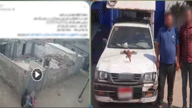 المتهمان