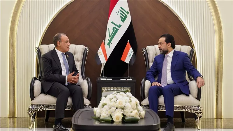 وزير الخارجية يناقش مع رئيس الوزراء العراقي مستجدات الأوضاع 