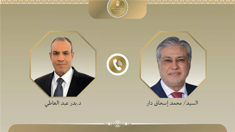 الدكتور بدر عبدالعاطي وزير الخارجية