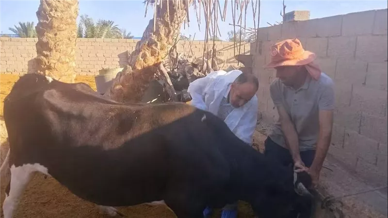  تنفيذ 262 قافلة بيطرية 