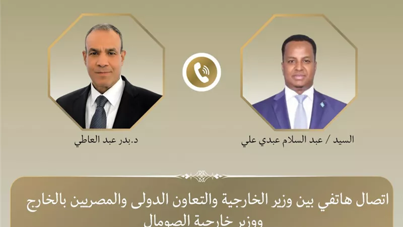 وزير الخارجية يجدد التأكيد على موقف مصر الثابت الداعم لوحدة 
