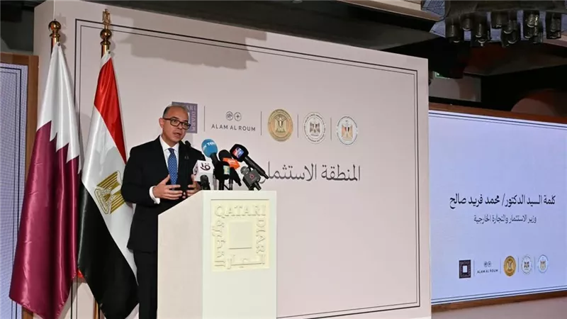 الدكتور محمد فريد صالح وزير الاستثمار