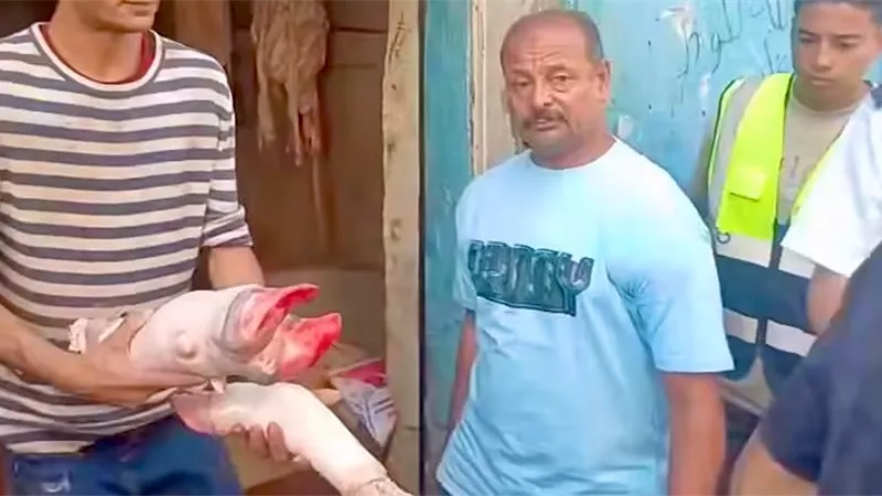 غلق وتشميع مكان لتجهيز الكوارع والكرشة