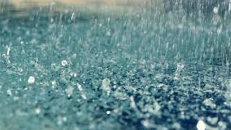 بم دعا النبى صلى الله عليه وسلم عند نزول المطر