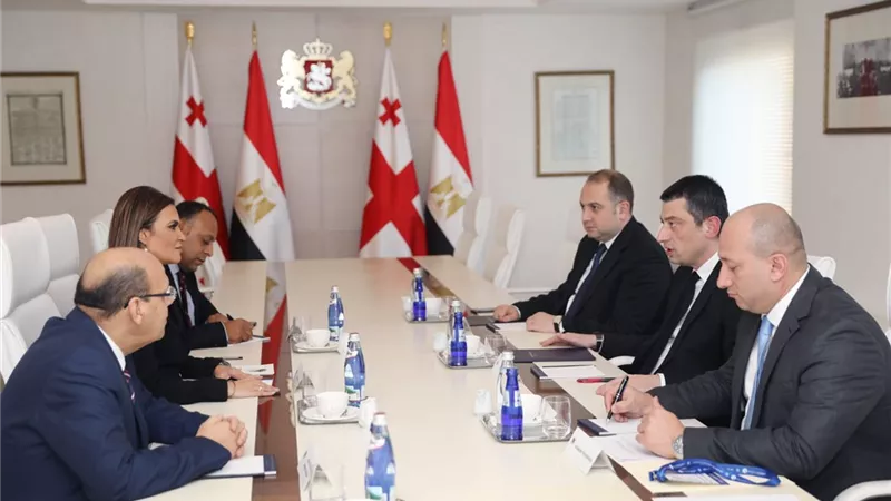 مصر وجورجيا تتفقان على تفعيل اللجنة المشتركة للتعاون الاقتصادى بعد توقفها 9 أعوام