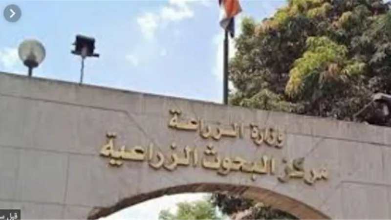 الزراعة