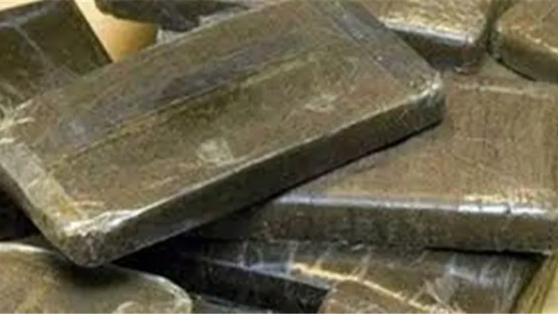 تجديد حبس تاجر الحشيش بالمنوفية