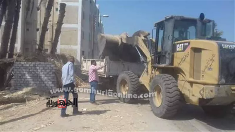 تحسبا لسقوط الأمطار...حملة نظافة مكبرة بقري مركز أسيوط