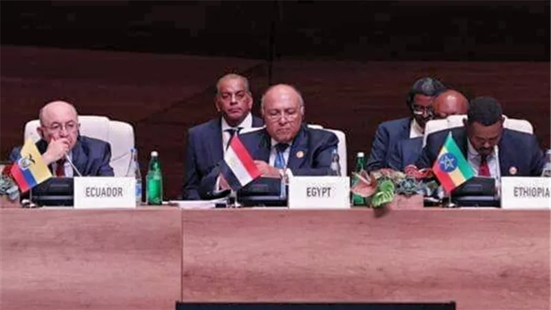 شكرى : نطالب بالوقف الفوري للقوات المعتدية على سوريا