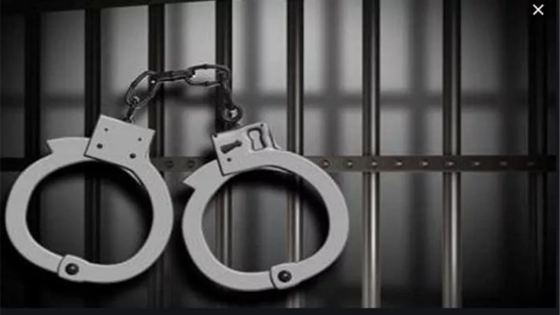 حبس تاجر لحيازة بندقية آلية بقرية فرنوى بالبحيرة