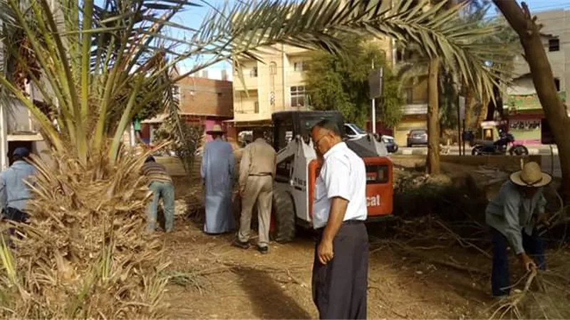 تكثيف حملات النظافة وقص وتقليم الأشجار بشوارع الوادى الجديد