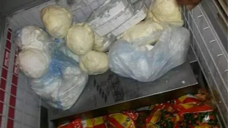 ضبط لحوم وأسماك وصفائح تمور فاسدة بالوادى الجديد