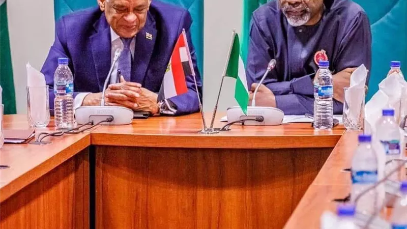 رئيس مجلس النواب يلتقى نظيره النيجيري.. صور