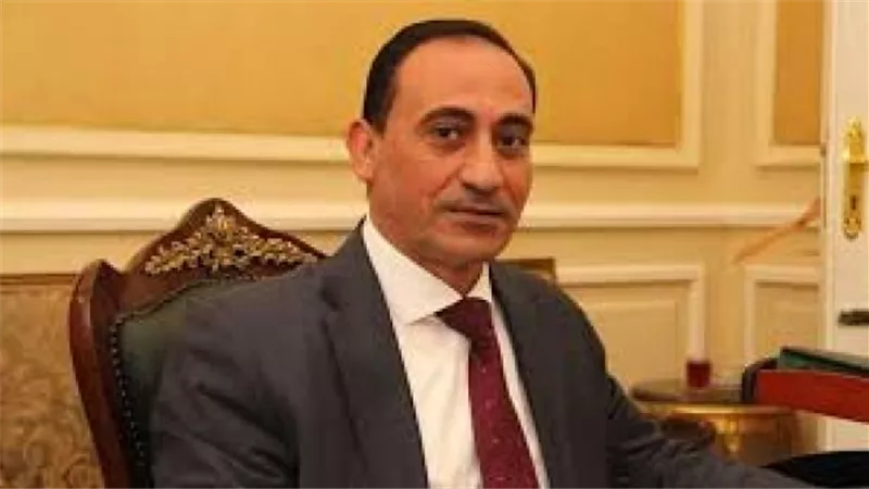 النائب محمد زين الدين: فيديو تعذيب 