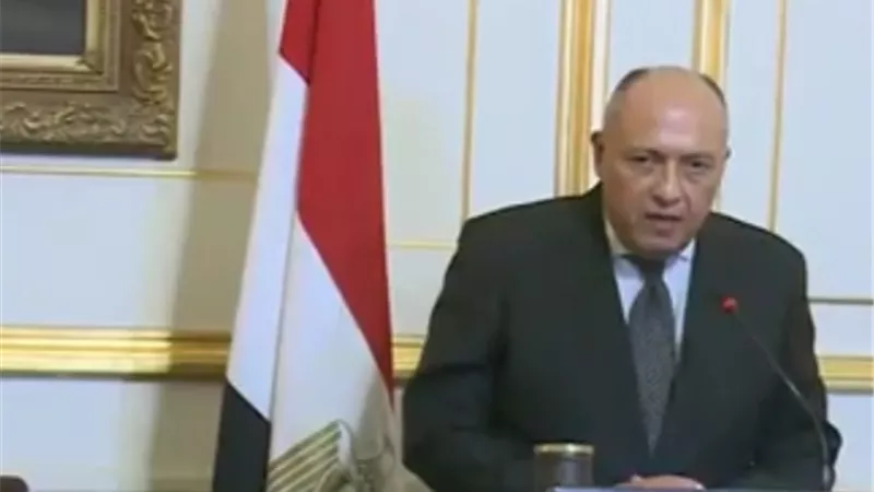 شكري : نهتم باستمرار التنسيق بين البلدين والارهاب من القضايا الهامة التي تمت مناقشتها