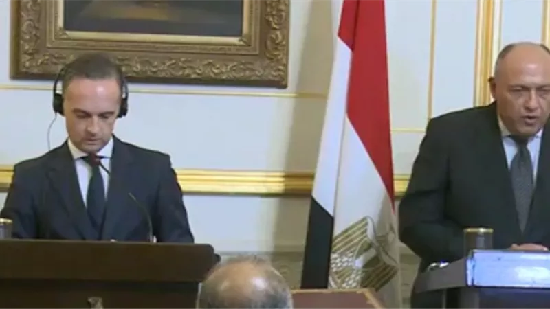 وزير الخارجية الألمانى : نتطلع لعودة ملايين اللاجئين السوريين لبلادهم بعد التوصل لحل سياسى للازمة