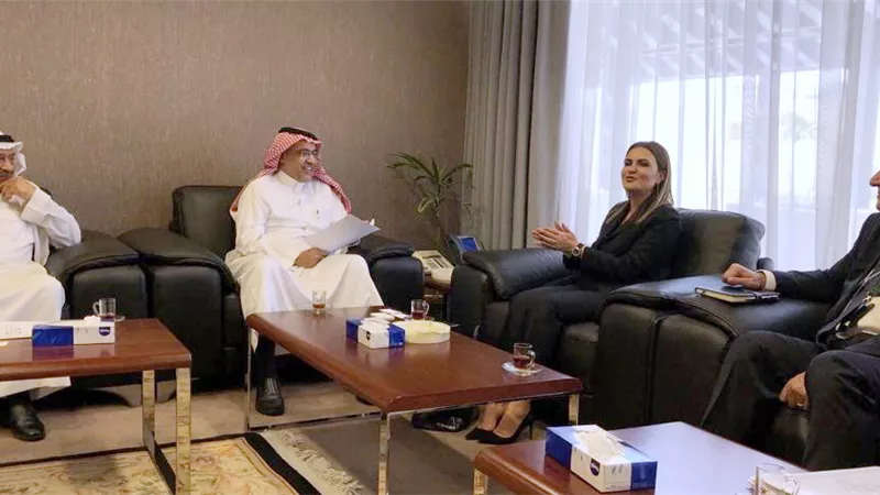 مباحثات لزيادة الاستثمارات السعودية في مصر