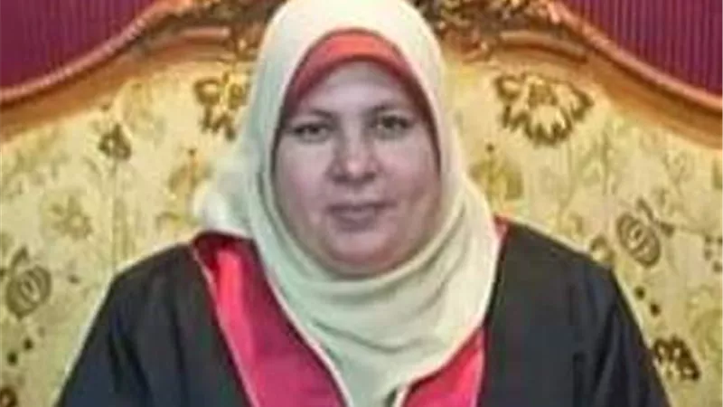 الدكتورة هناء السيد رئيساً لقسم الإعلام بالتربية النوعية جامعة المنوفية