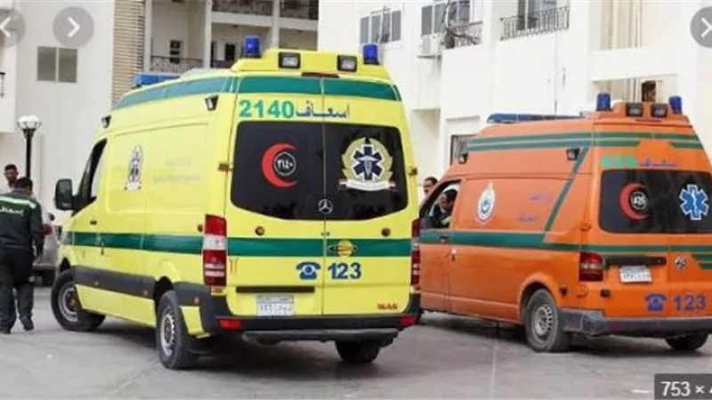 اصابة طالب بطلق خرطوش في مشاجرة مع زميلة بالدقهلية