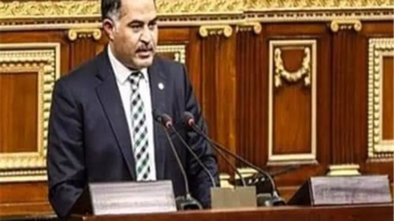 مجلس النواب يتقدم بطلب إحاطة بشأن الإعلان المسيئ للوادي الجديد