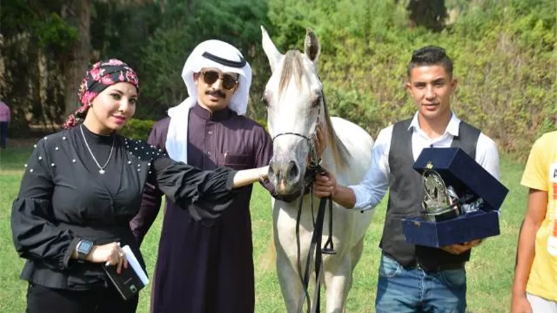 المهرة 