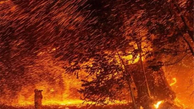 إجلاء نحو 8 آلاف شخص بسبب حرائق الغابات بجنوب كاليفورنيا