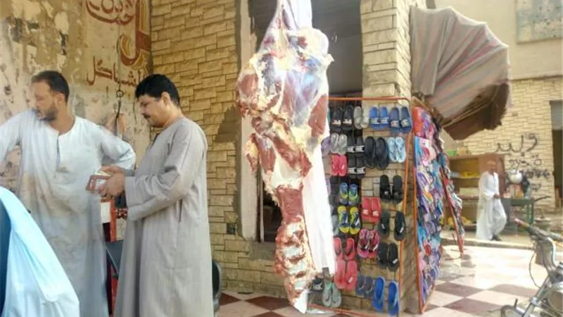 مستقبل وطن بقنا يفتح فصول محو أمية و منافذ لبيع اللحوم البلدية بأبوتشت..صور