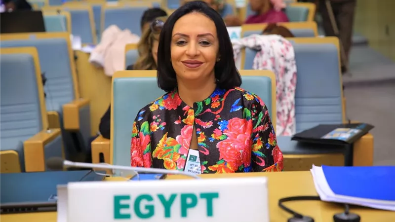 مايا مرسى: يجب إدماج مبادئ المساواة بين الجنسين فى أهداف التنمية المستدامة كلها