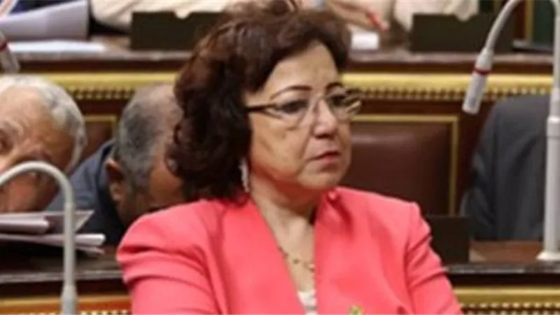 فهيم: هناك محاولات خبيثة لاستهداف الهوية المصرية
