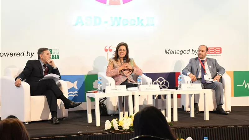 وزيرة التخطيط: 96 ٪ من الاقتصاد العالمي يقوده رواد الأعمال والشركات الناشئة والصغيرة