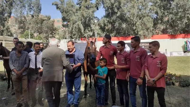 إنتاج خيول مزرعة المهندس تحصد أربعة مراكز في بطولة مصر الدولية لجمال الخيول العربية الاصيلة