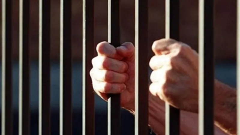 ضبط سائق بحوزته مؤهل دراسي مزور خلال تجديد رخصة ببنها