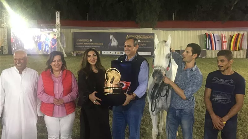 محرز تعلن أسماء الفائزين بجوائز بطولة مصر لجمال الخيول