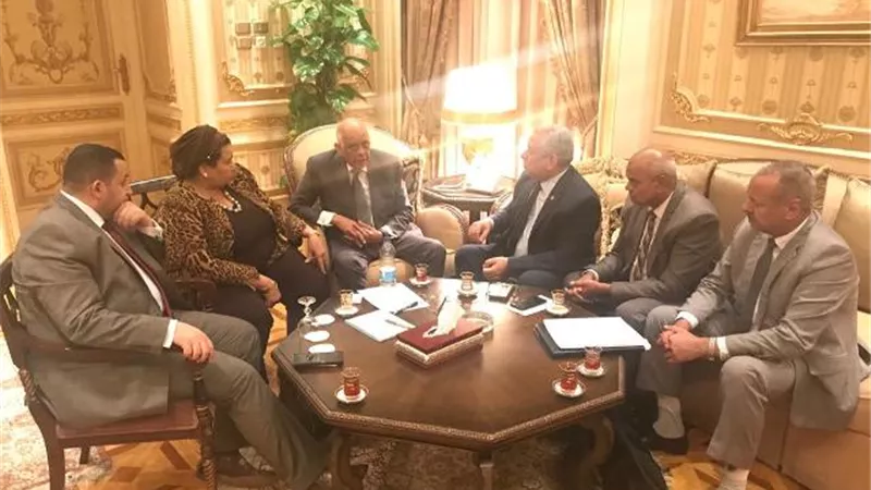 علي عبد العال يلتقى نواب الوادى الجديد