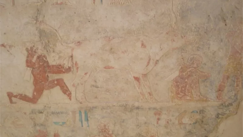آثار مير بالقوصية باسيوط شاهد عيان على عصر الدولتين القديمة والواسطى