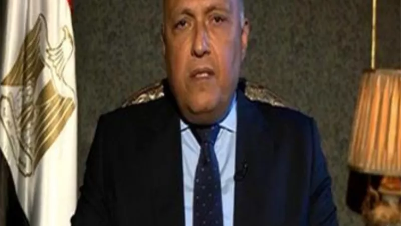 شكري يلتقي في واشنطن بكبير مُستشاري الرئيس الأمريكي ويستعرضان بشكل مفصل الجهود المصرية لحل ازمة سد النهضة