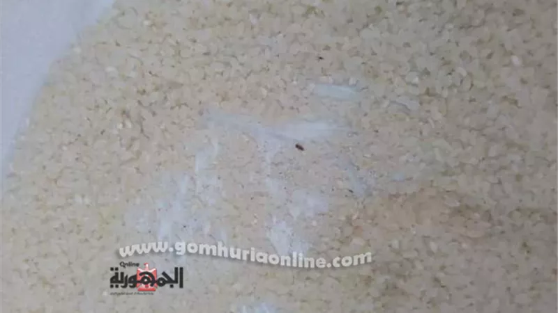 ضبط ٤٠ طن أرز فاسد بالواسطى